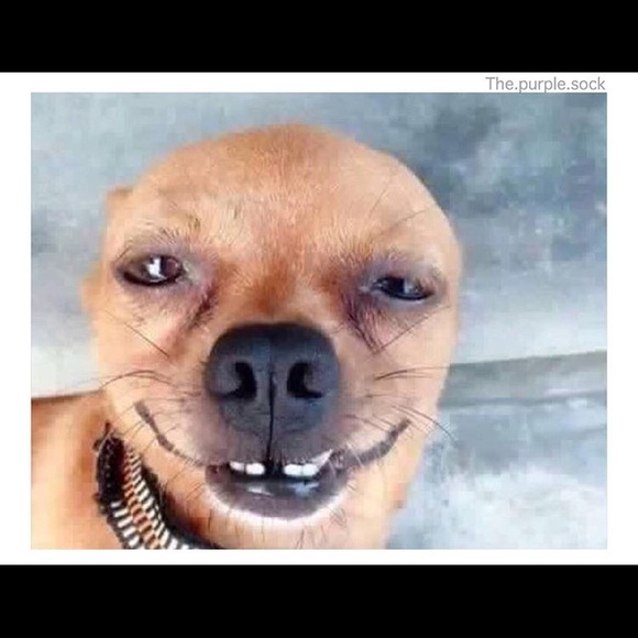 Meet your Posher, Dalia - Picture 1 of 1